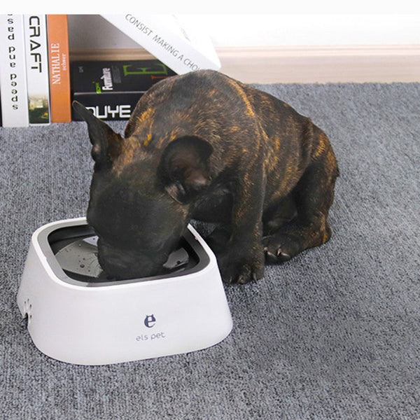 Dog Feeding