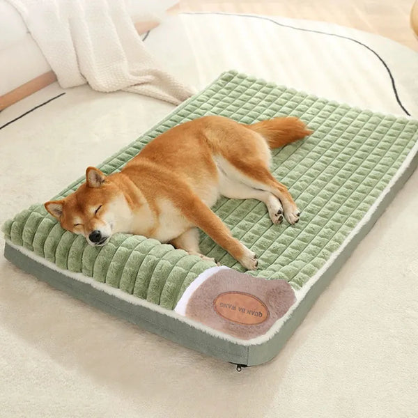 Dog Beds & Mats