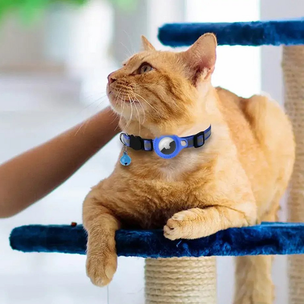 Cat Collars & Harnesses