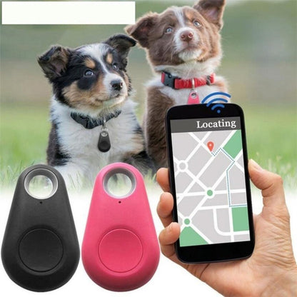 Pet Smart GPS Tracker
