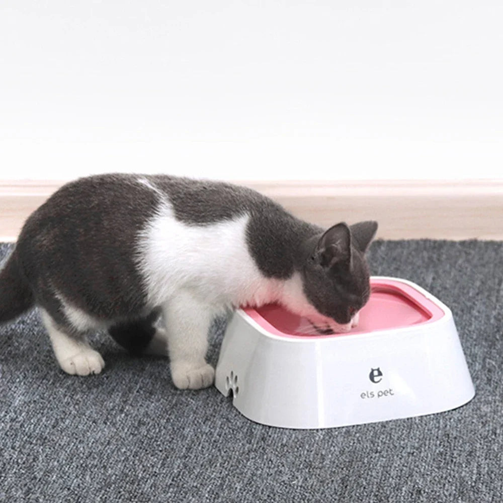 Splash Proof Pet Bowl