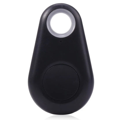 Pet Smart GPS Tracker
